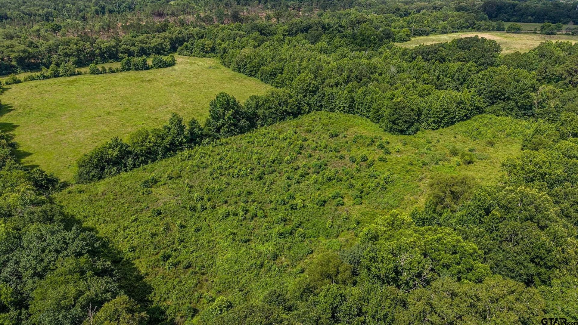 110.08 acres in Smith County - photo 13