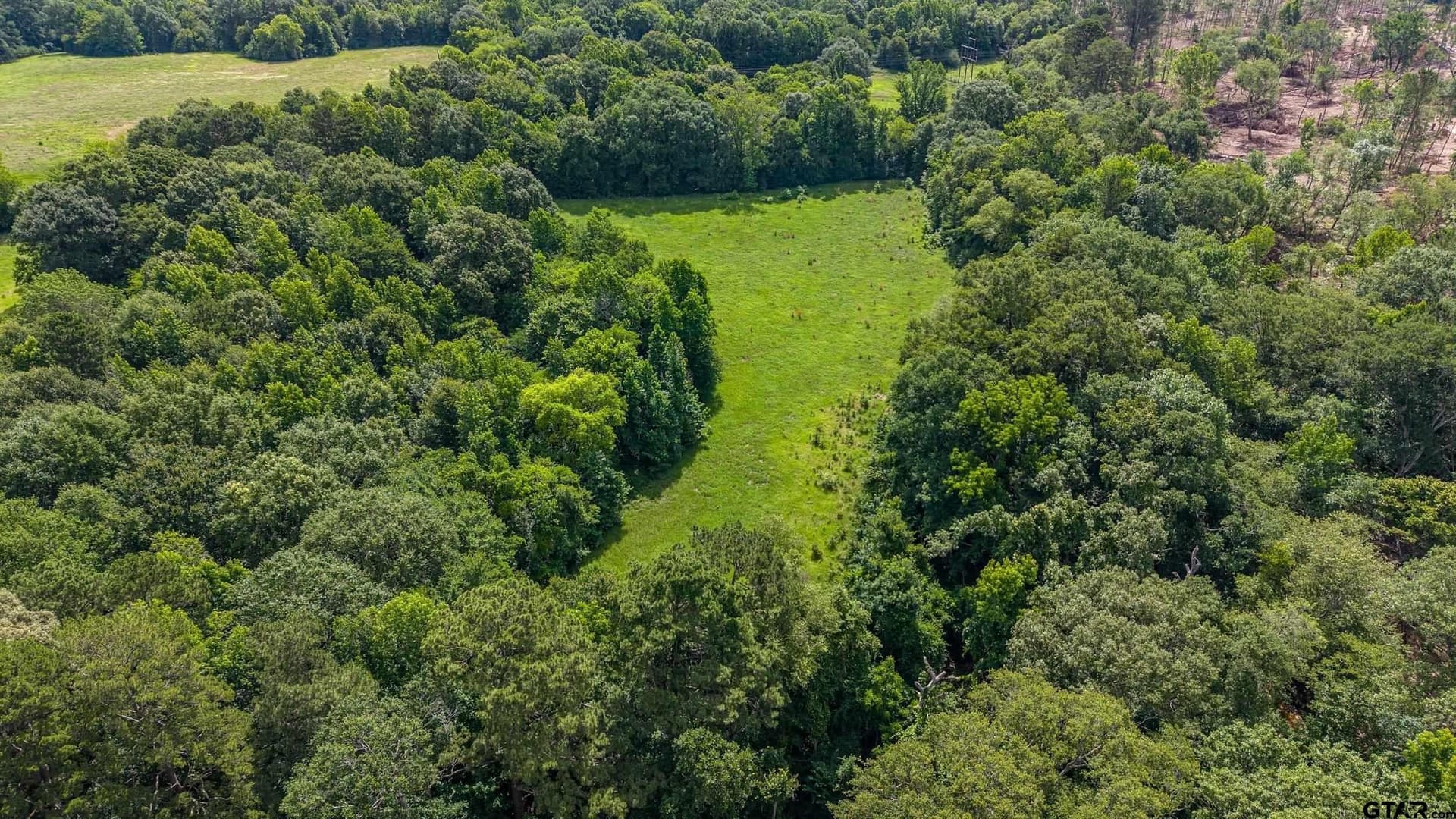 110.08 acres in Smith County - photo 9