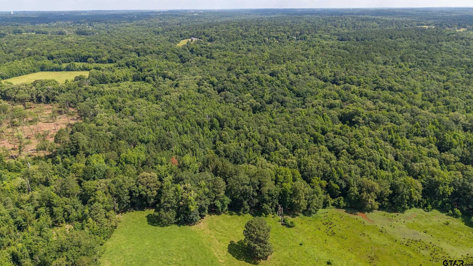 110.08 acres in Smith County - photo 17