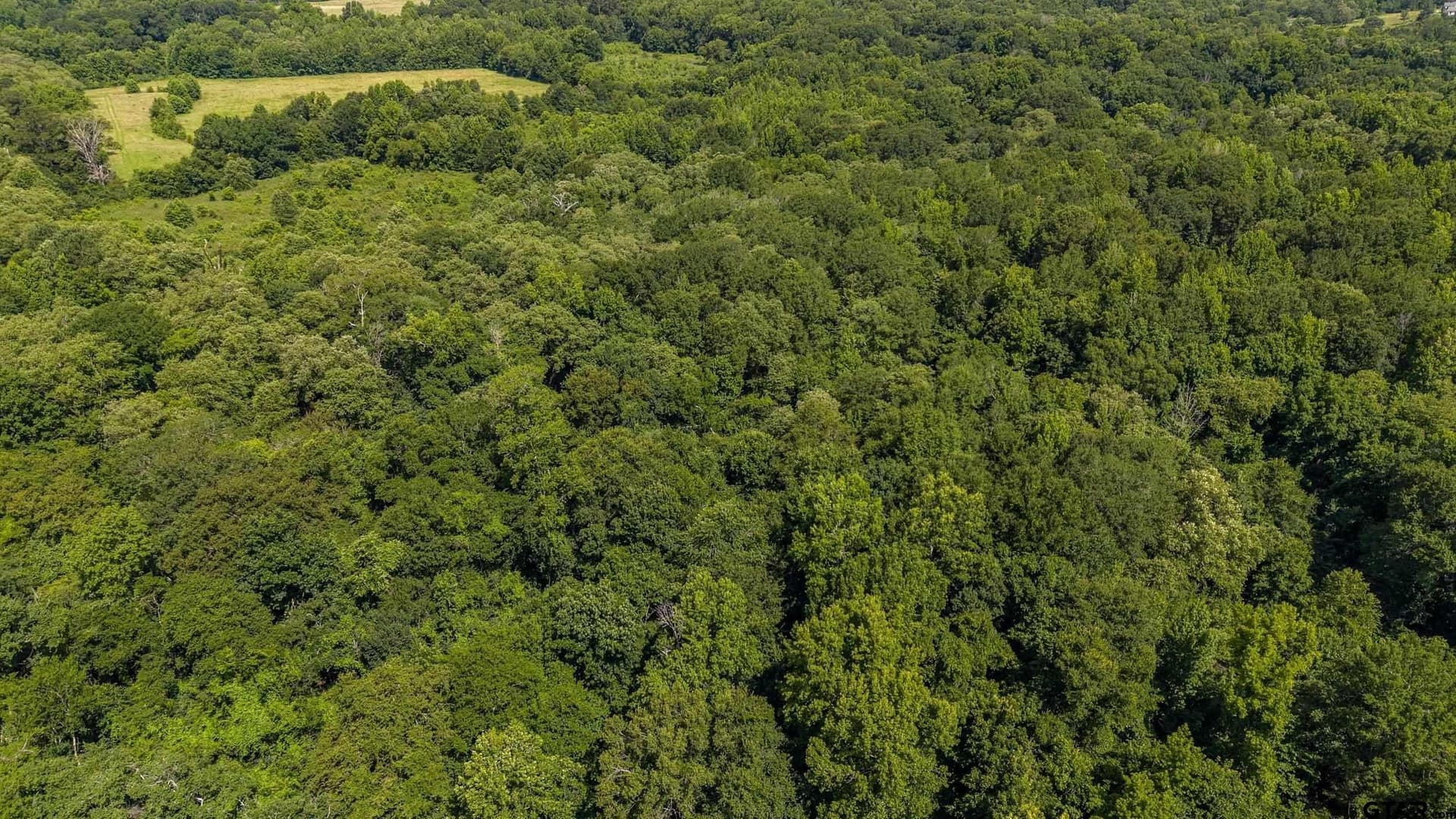 110.08 acres in Smith County - photo 18