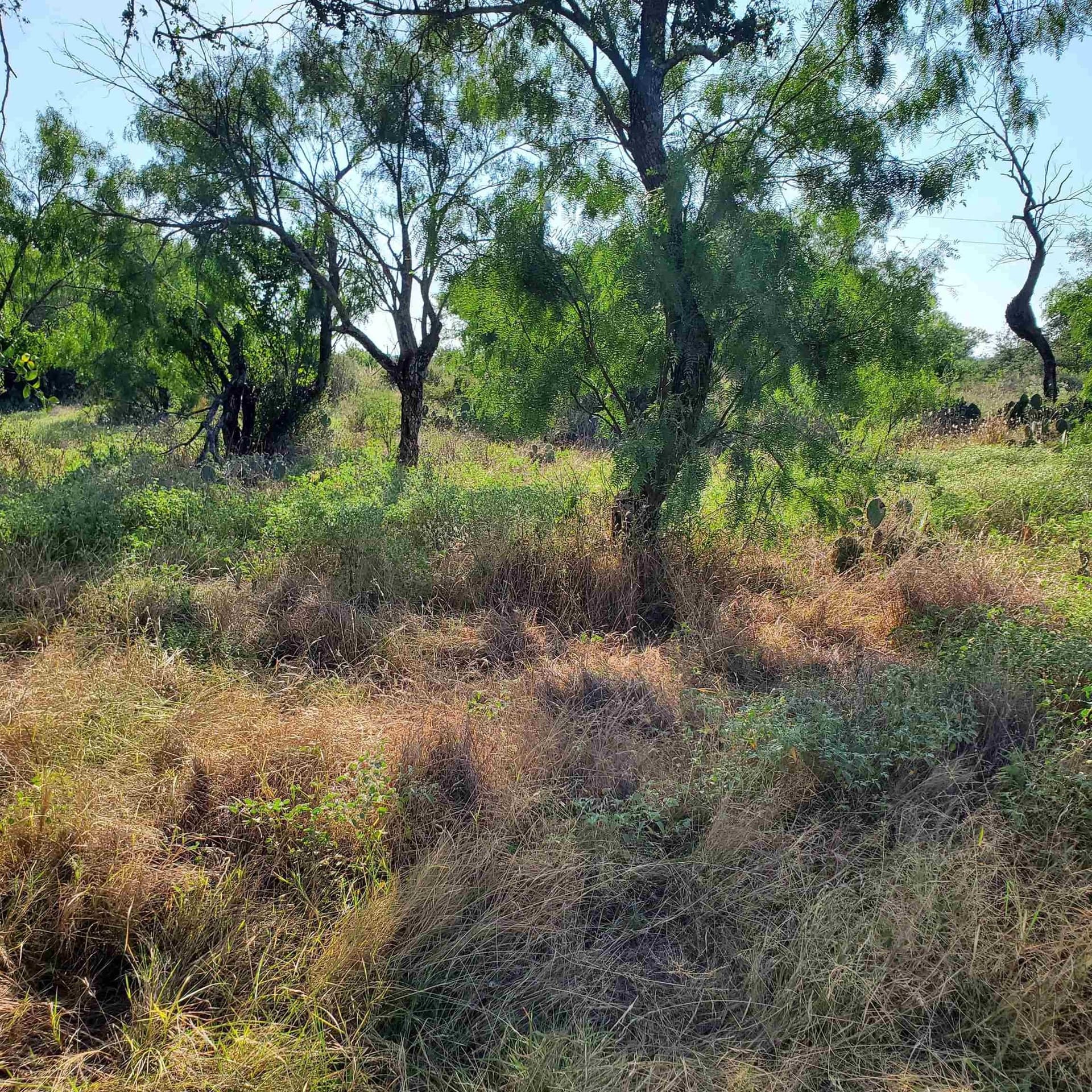 0.23 acres in Burnet County gallery image 2