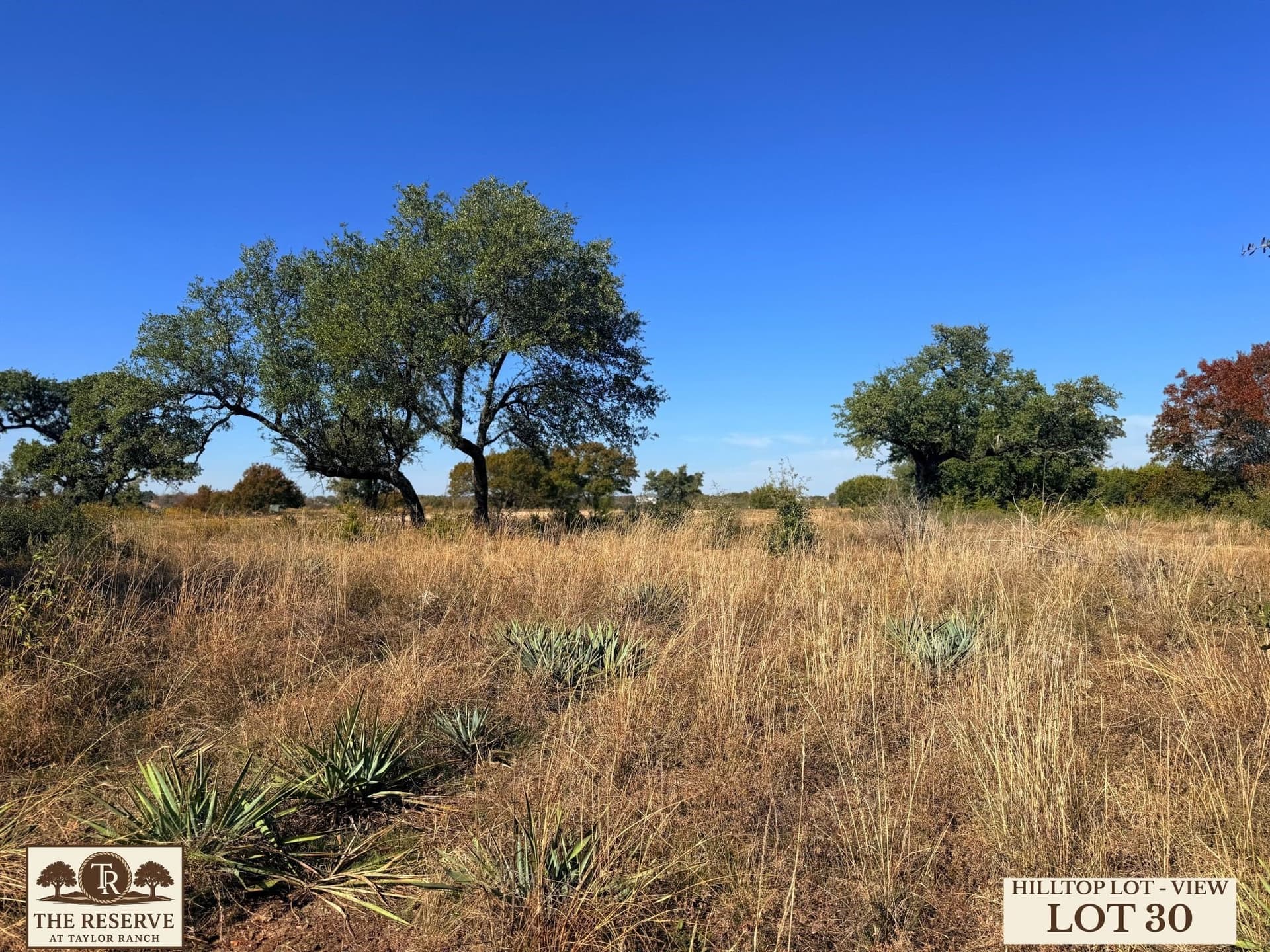 1.88 acres in Parker County gallery image 3