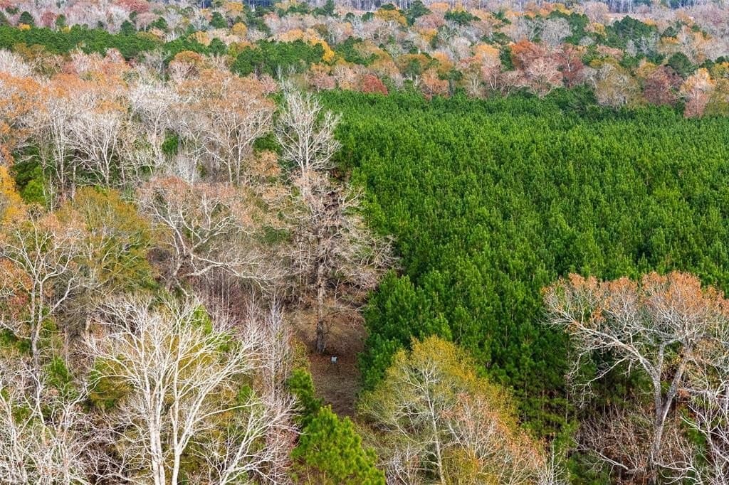 267.74 acres in Houston County