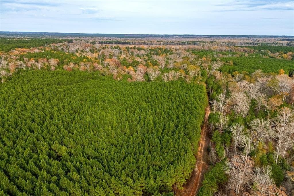 267.74 acres in Houston County gallery image 2