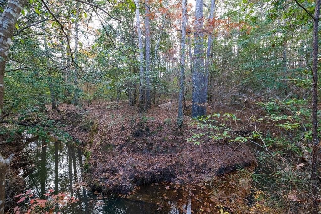 267.74 acres in Houston County gallery image 4