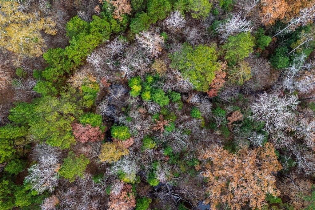 267.74 acres in Houston County gallery image 3