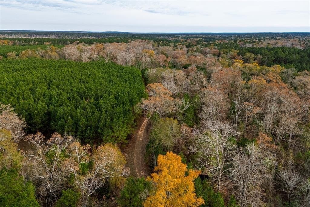 267.74 acres in Houston County featured view