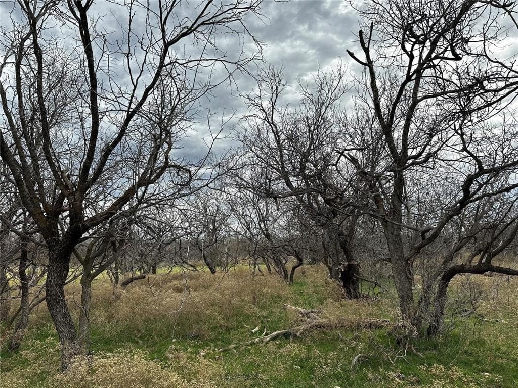 13 acres in Callahan County