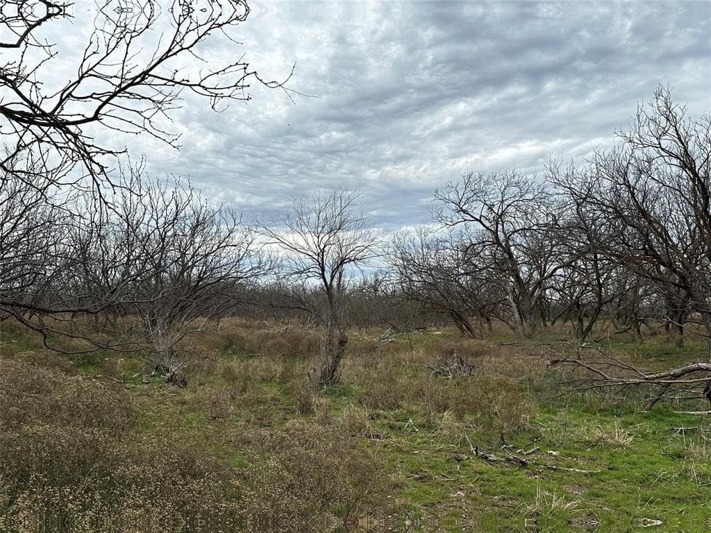 13 acres in Callahan County gallery image 2