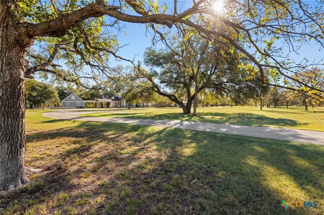 12 acres in Bell County gallery image 4