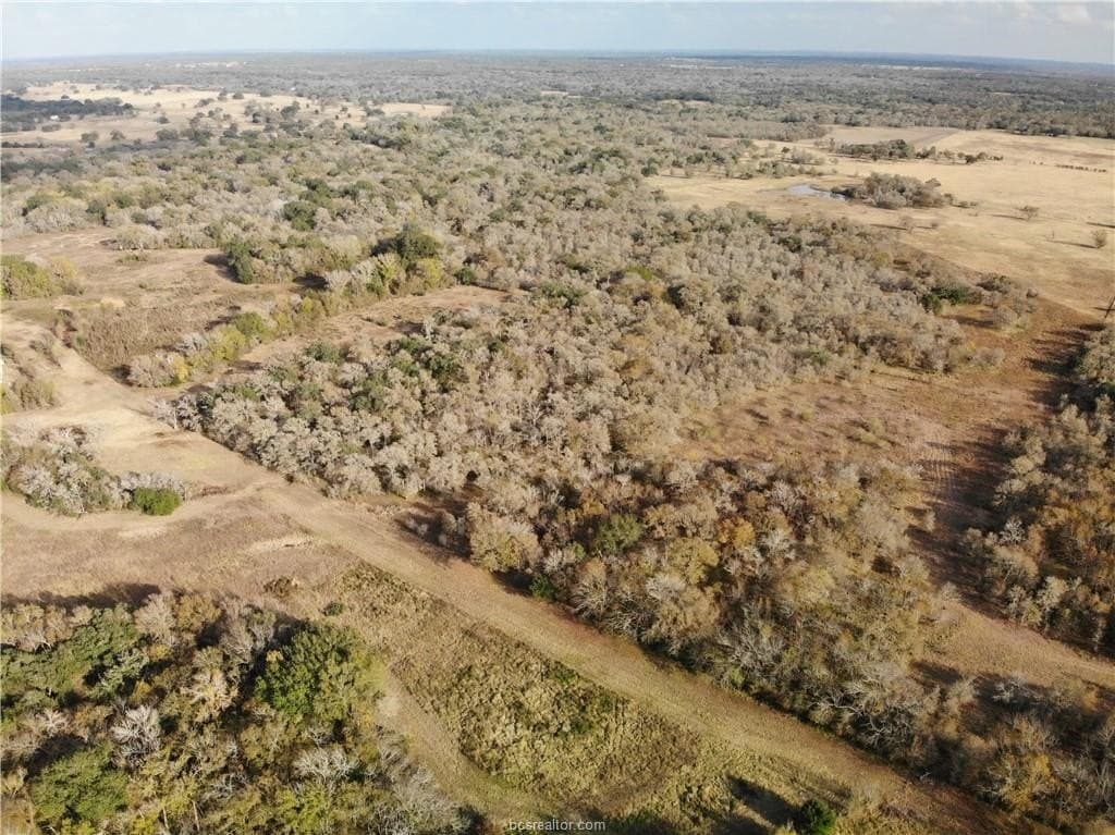 15.85 acres in Burleson County gallery image 3