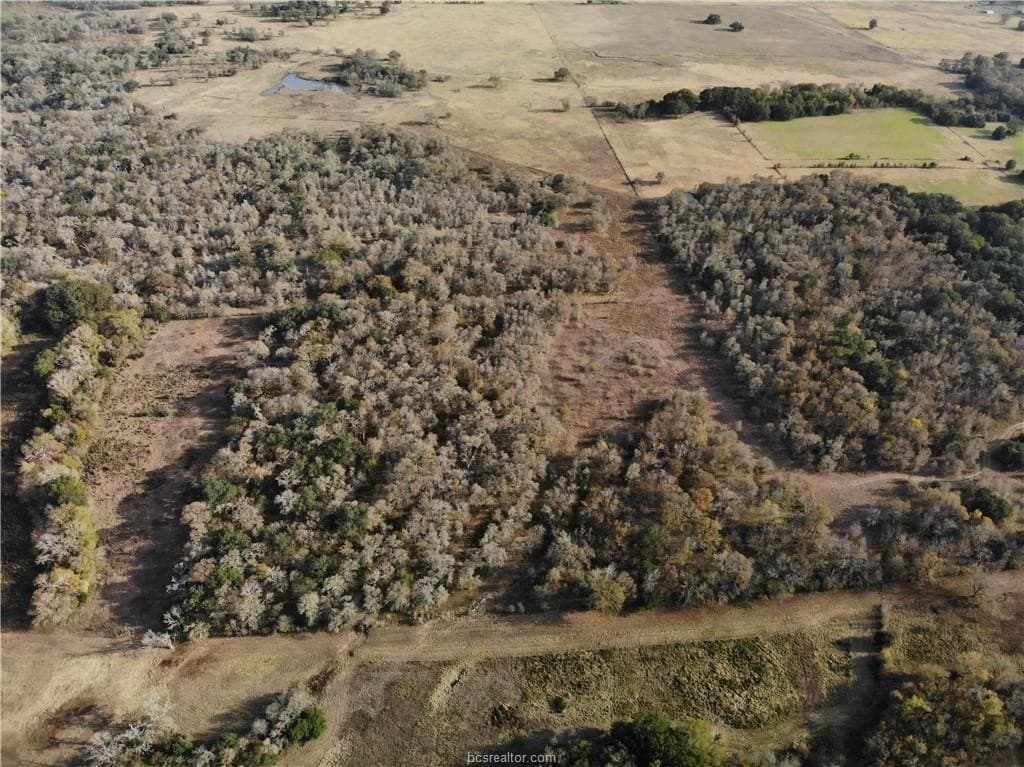 15.85 acres in Burleson County gallery image 4
