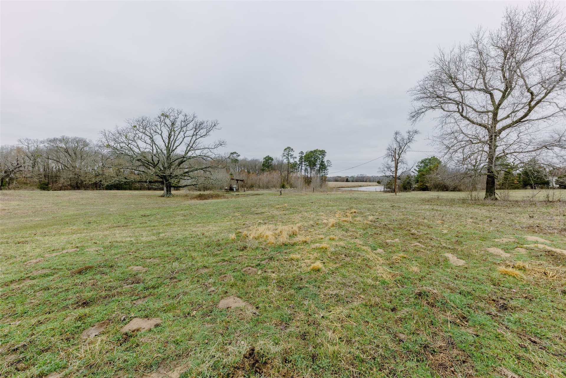 10 acres in Wood County - photo 2
