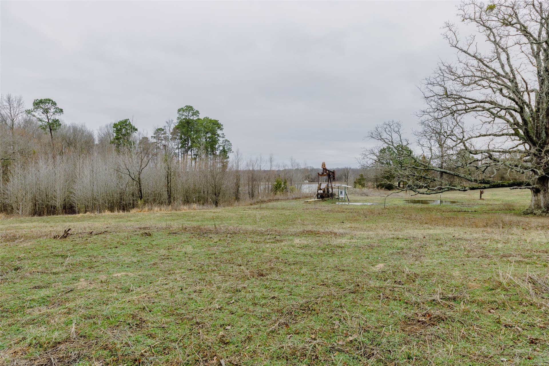 10 acres in Wood County - photo 7