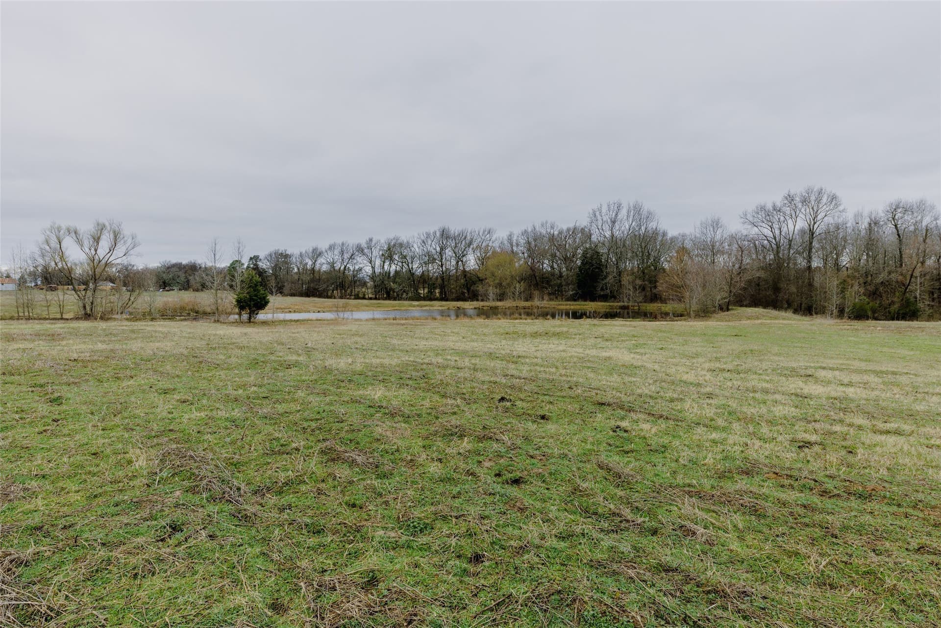 10 acres in Wood County - photo 4