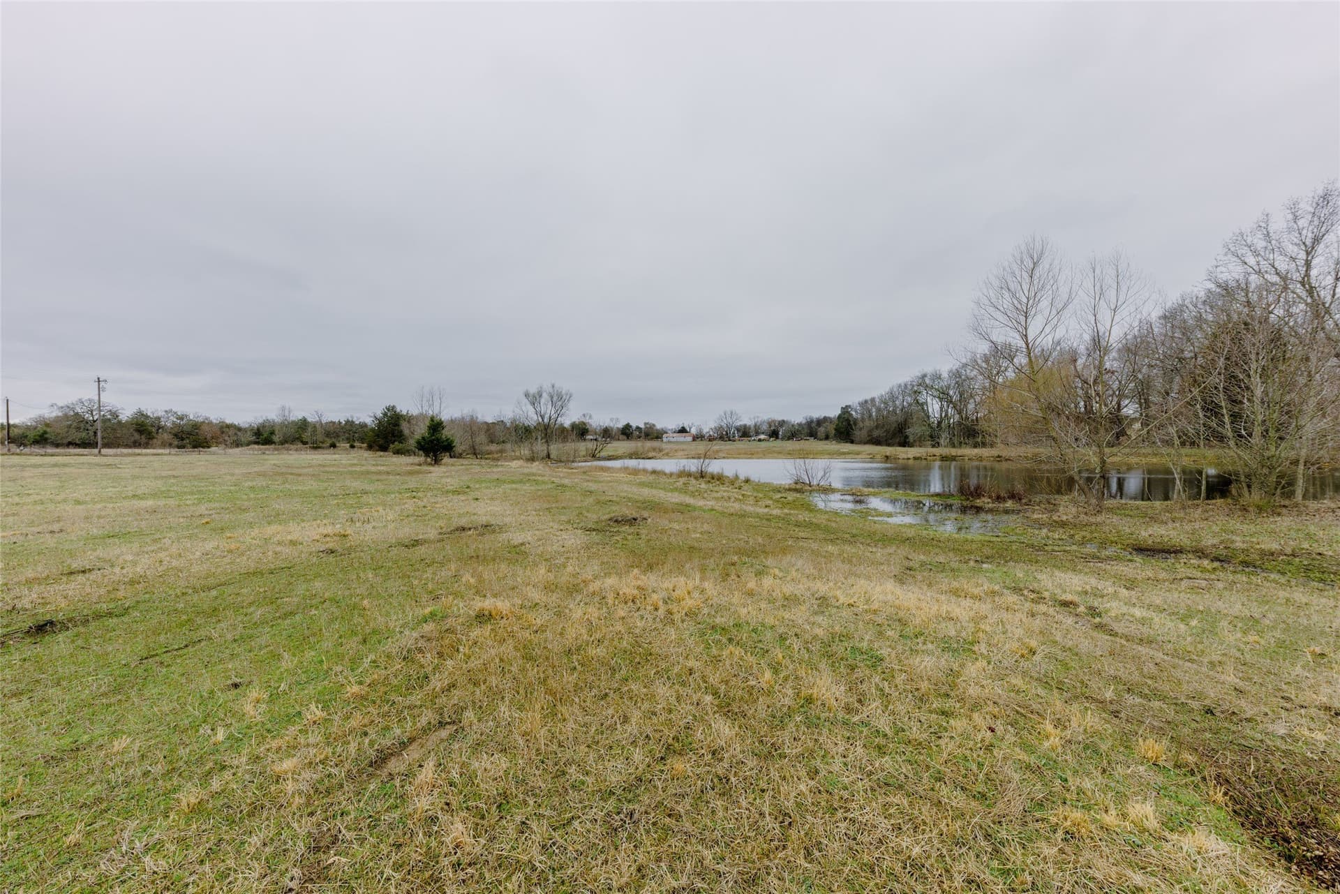 10 acres in Wood County - photo 5