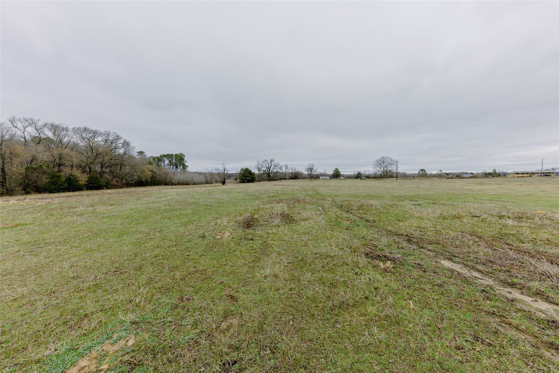 10 acres in Wood County - photo 6