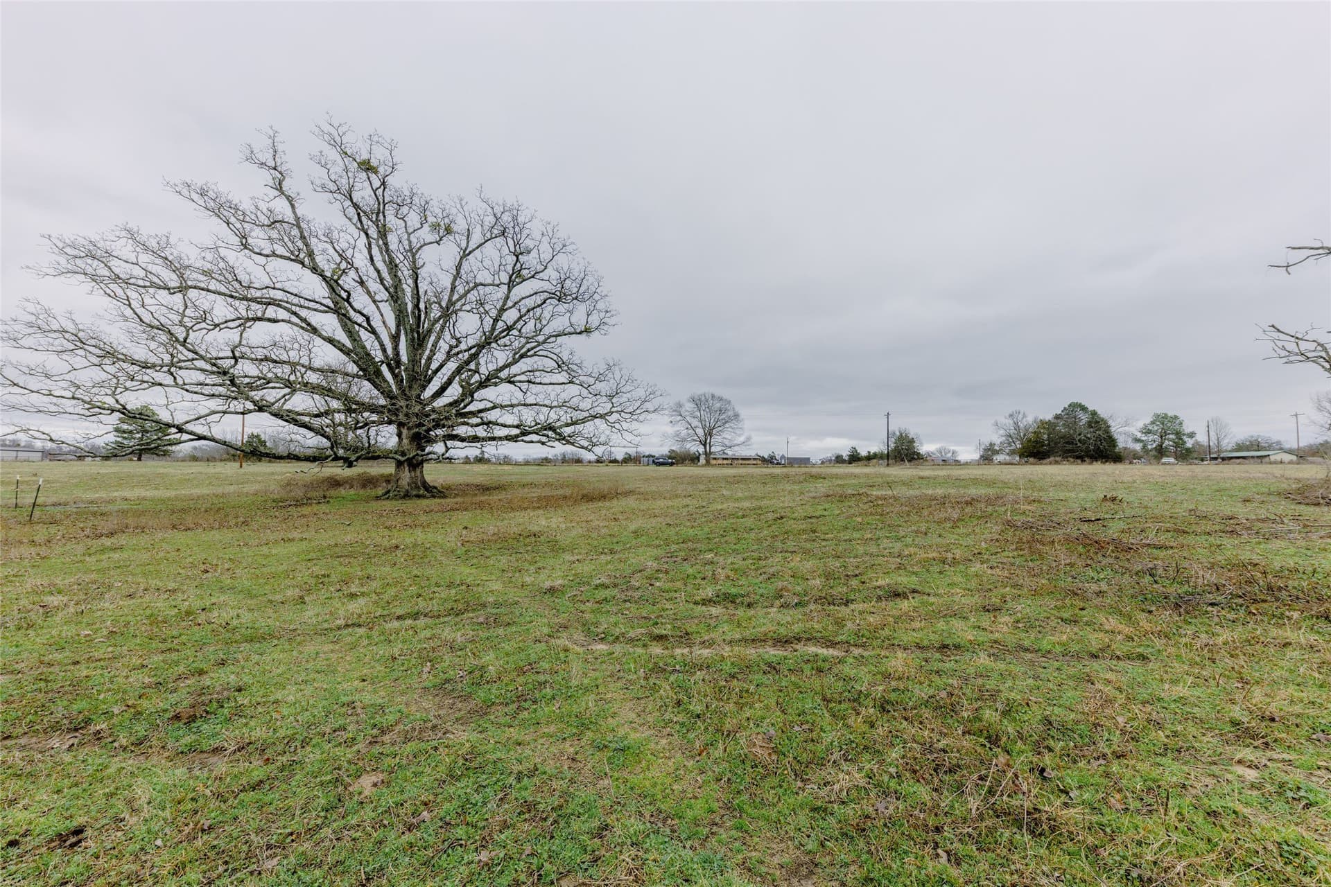 10 acres in Wood County - photo 8