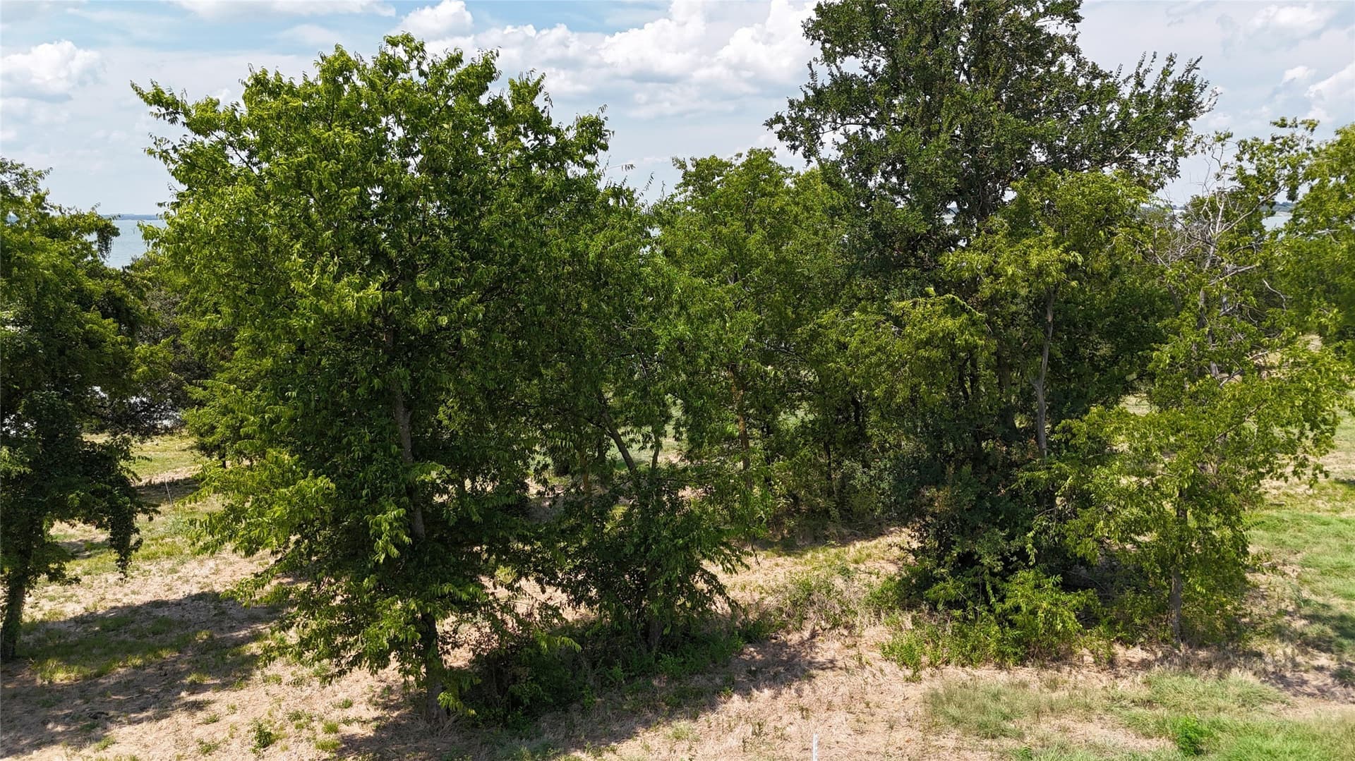 1.01 acres in Navarro County - photo 19