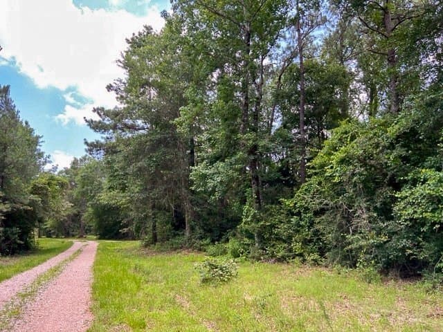 28 acres in Tyler County - photo 15