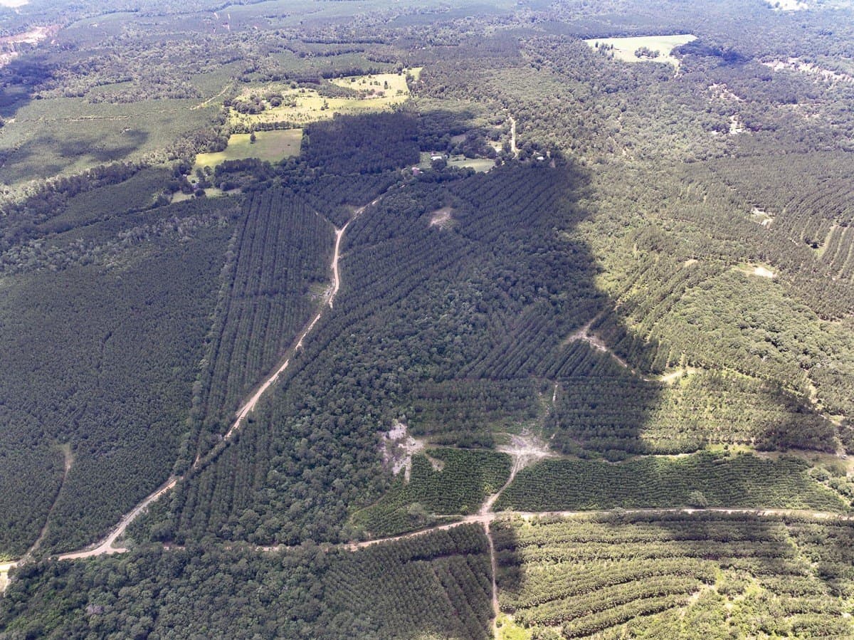 28 acres in Tyler County - photo 18