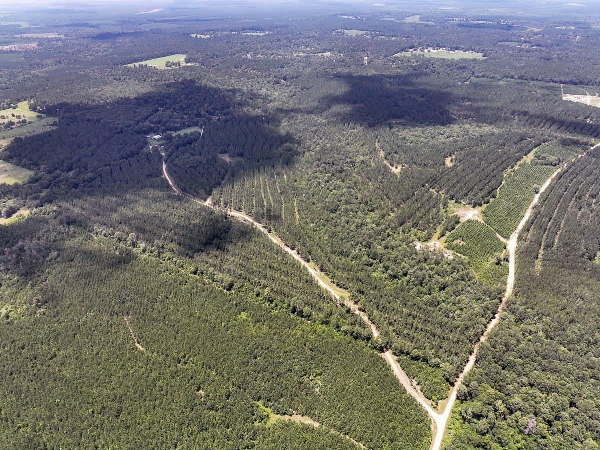 28 acres in Tyler County - photo 3