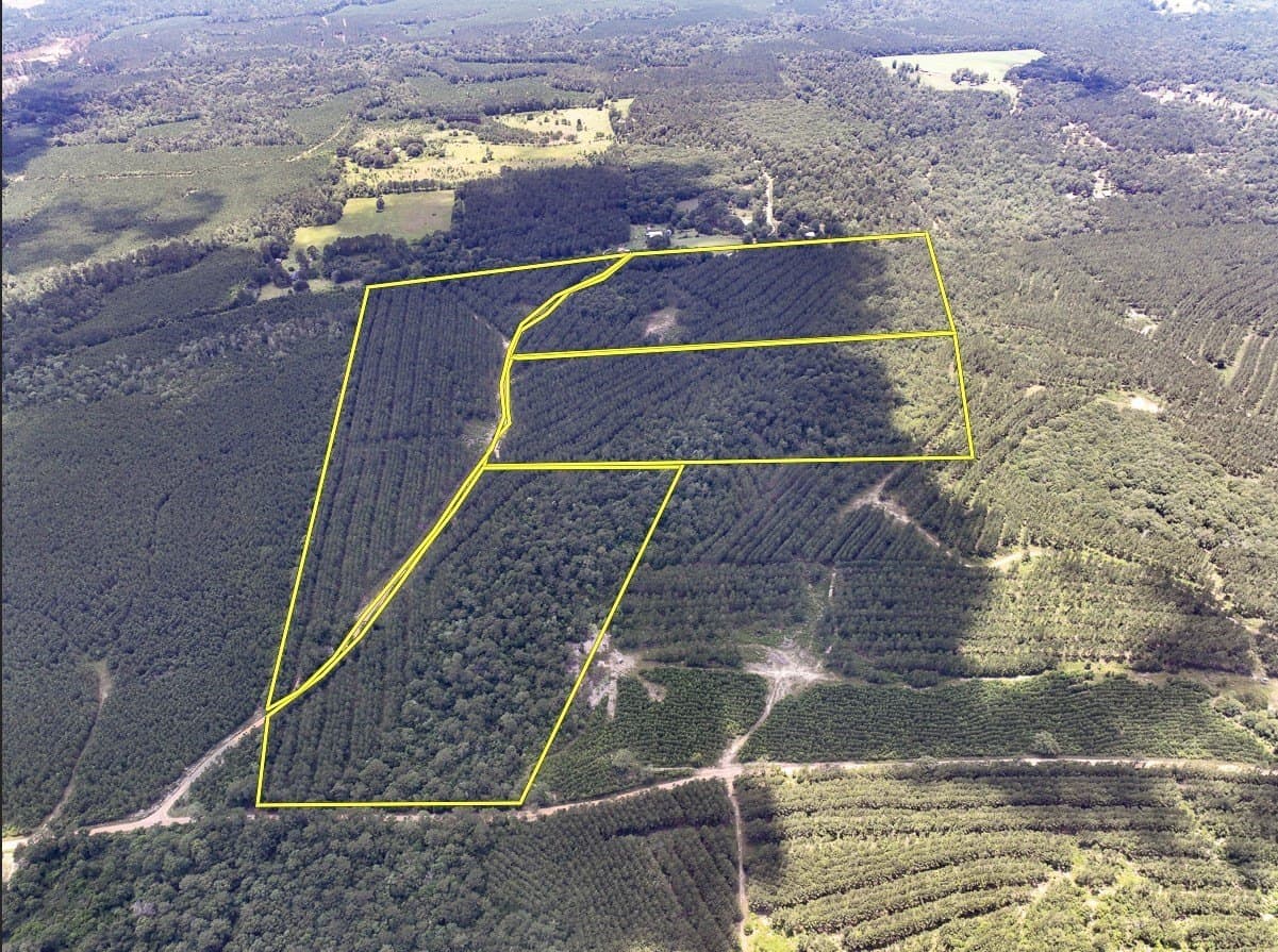 28 acres in Tyler County