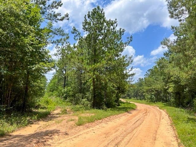 28 acres in Tyler County - photo 5