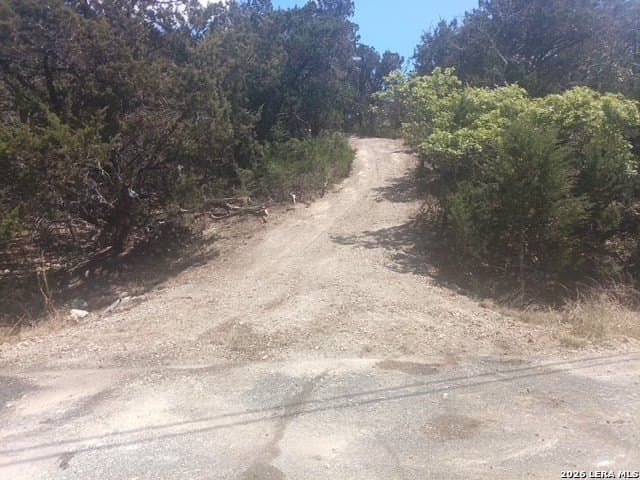 3.9 acres in Comal County gallery image 4