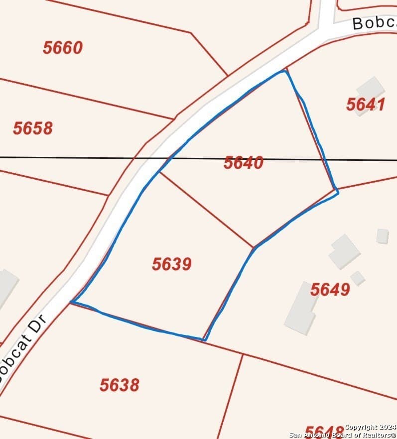 3.9 acres in Comal County gallery image 3