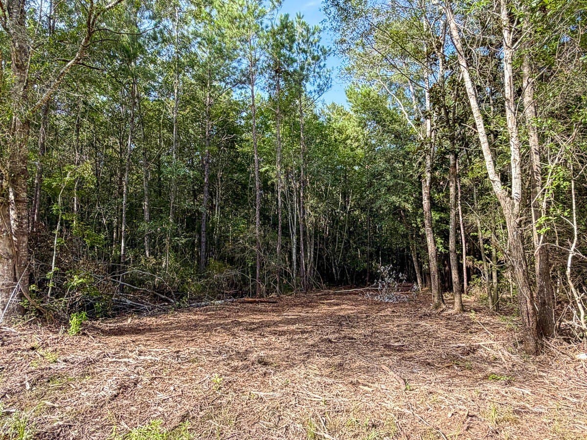 8.35 acres in Hardin County - photo 7