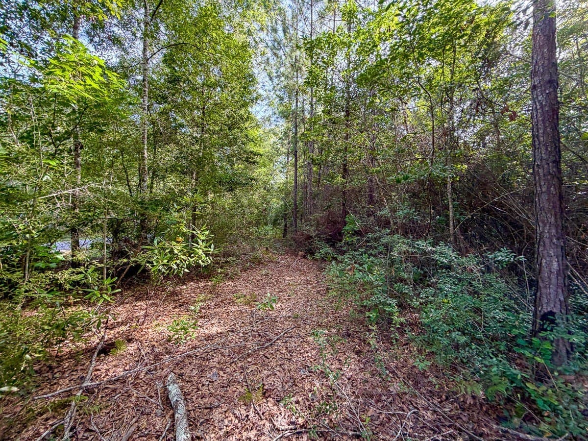 8.35 acres in Hardin County - photo 3