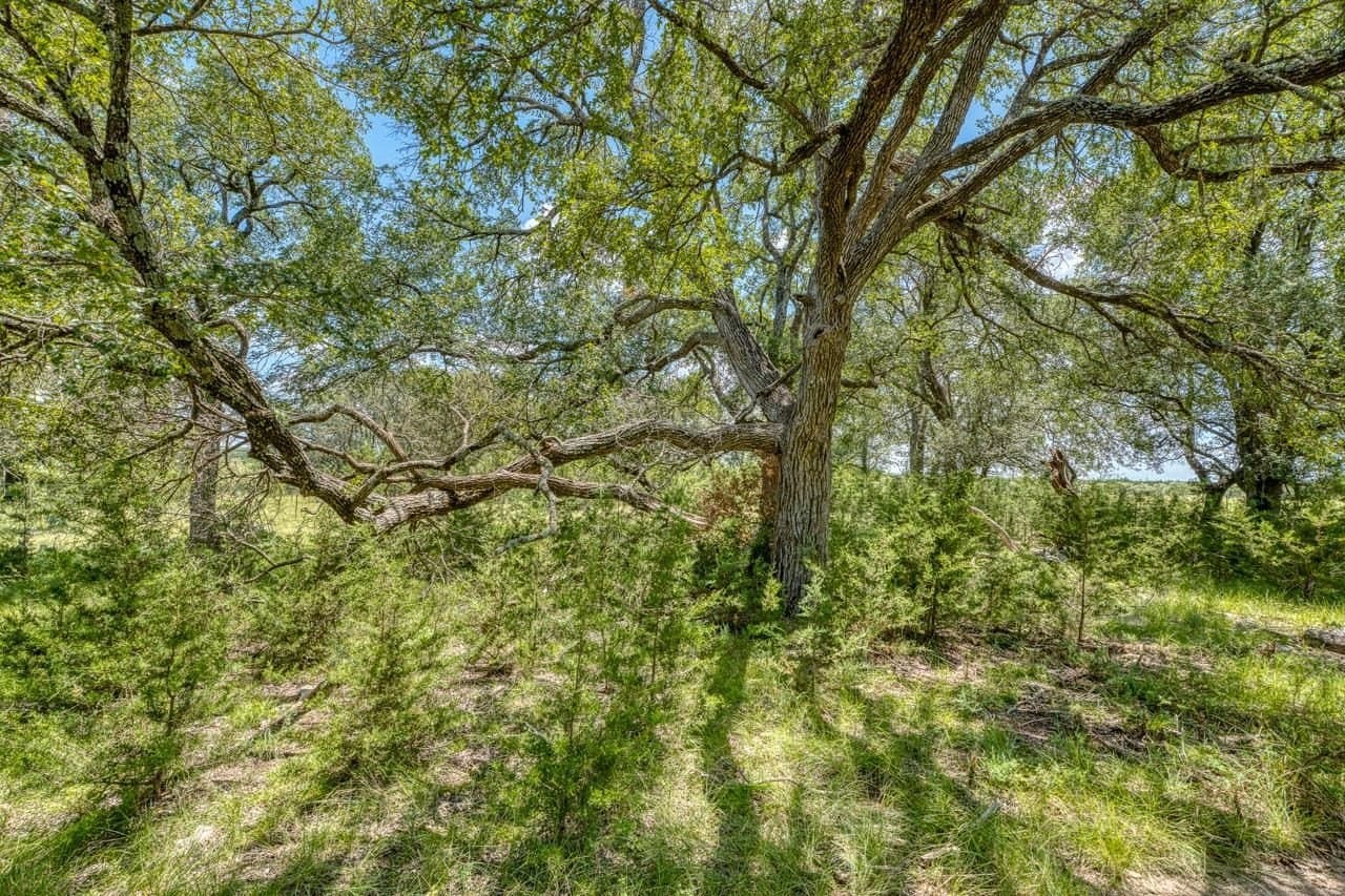 189 acres in Burnet County - photo 18