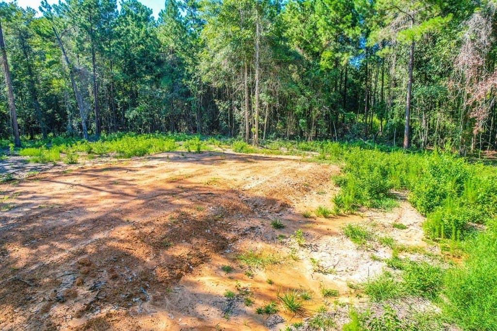 1.93 acres in Texas County gallery image 2