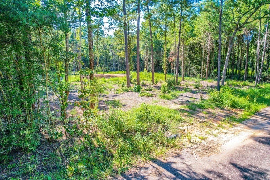 1.93 acres in Texas County featured view