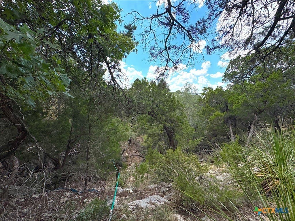 0.91 acres in Comal County gallery image 4