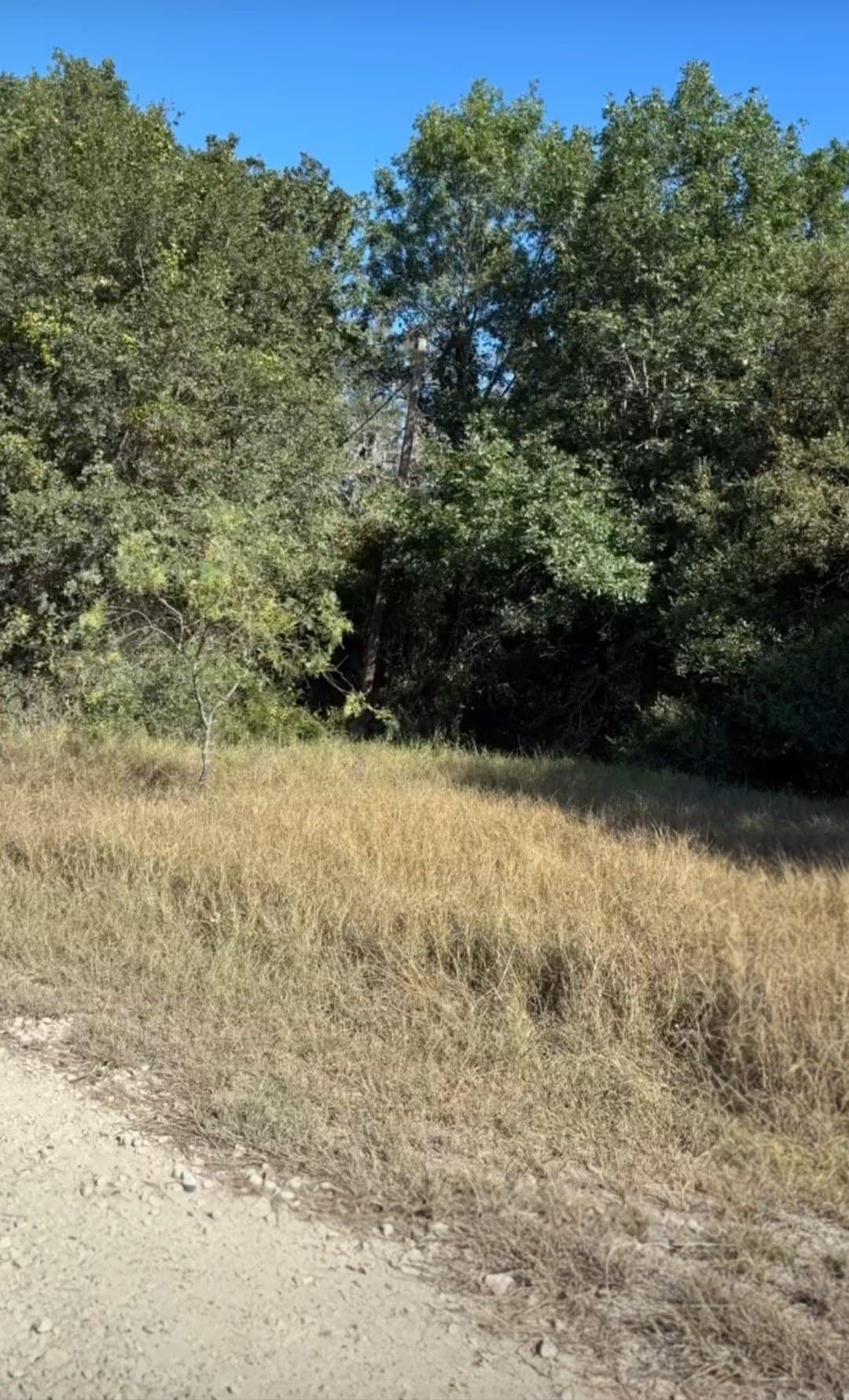 0.39 acres in Navarro County - photo 6