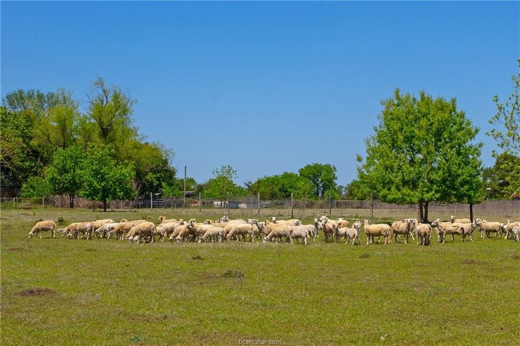 153.12 acres in Burleson County - photo 16