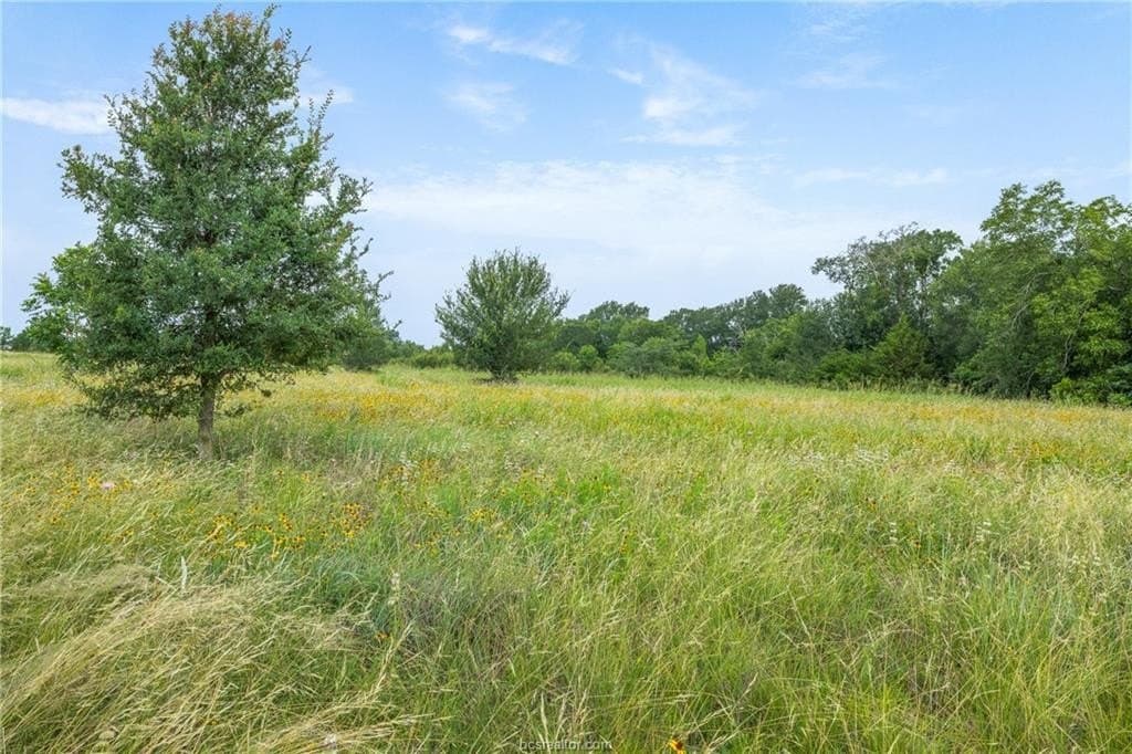 153.12 acres in Burleson County - photo 28