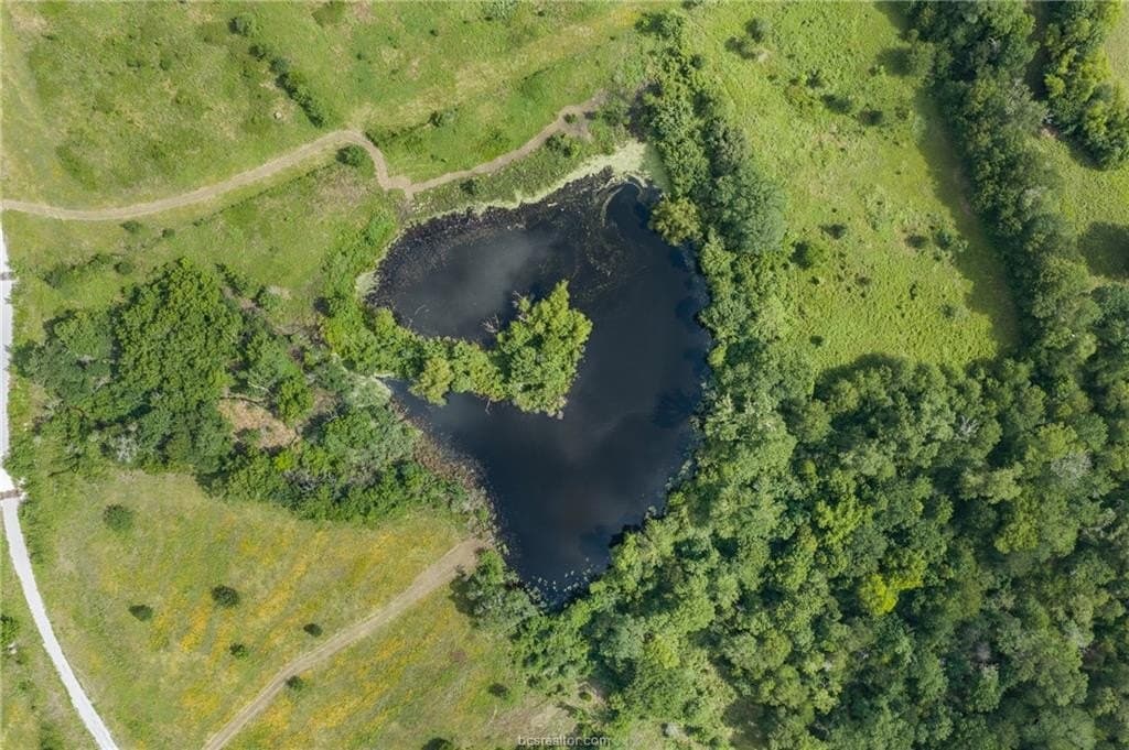 153.12 acres in Burleson County - photo 4