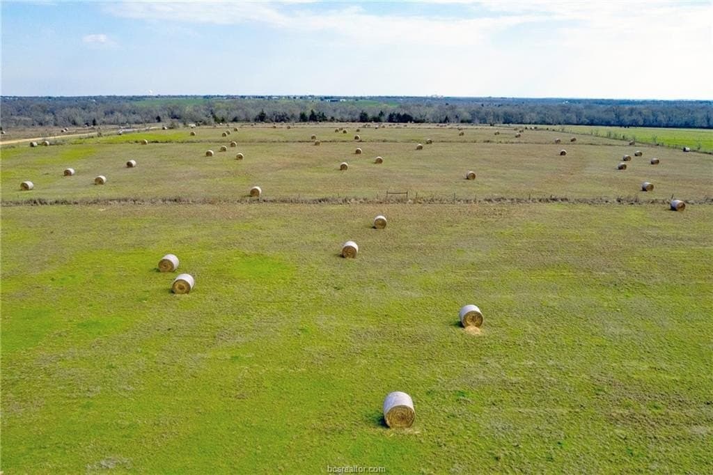 153.12 acres in Burleson County - photo 3