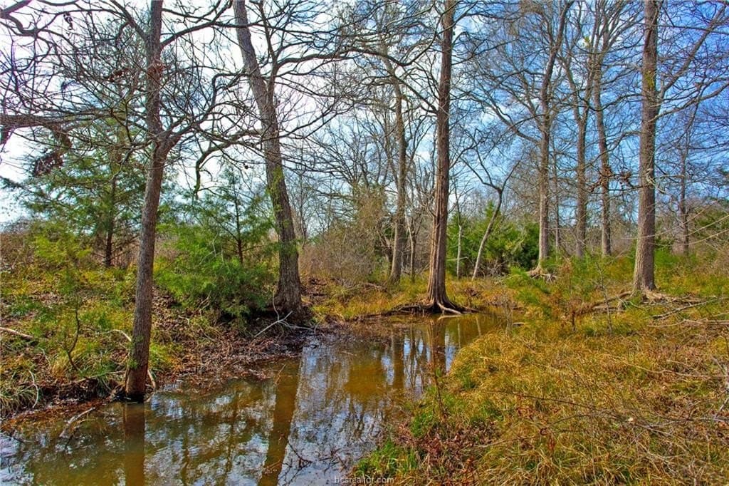 153.12 acres in Burleson County - photo 34