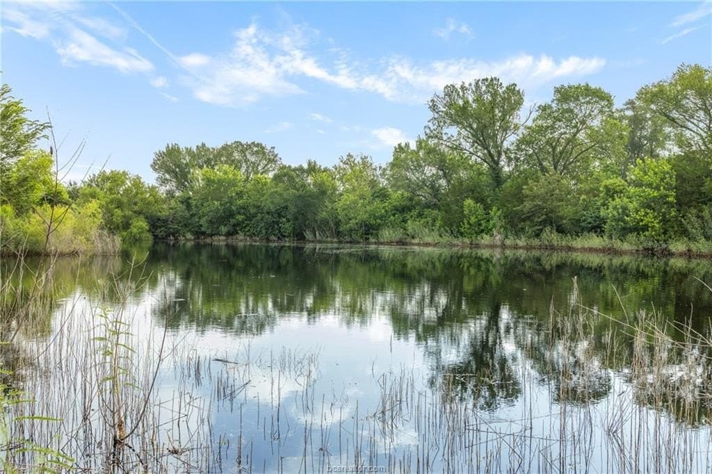 153.12 acres in Burleson County - photo 33