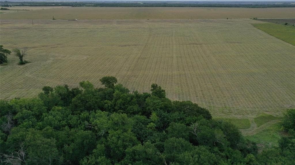 7 acres in Falls County gallery image 3
