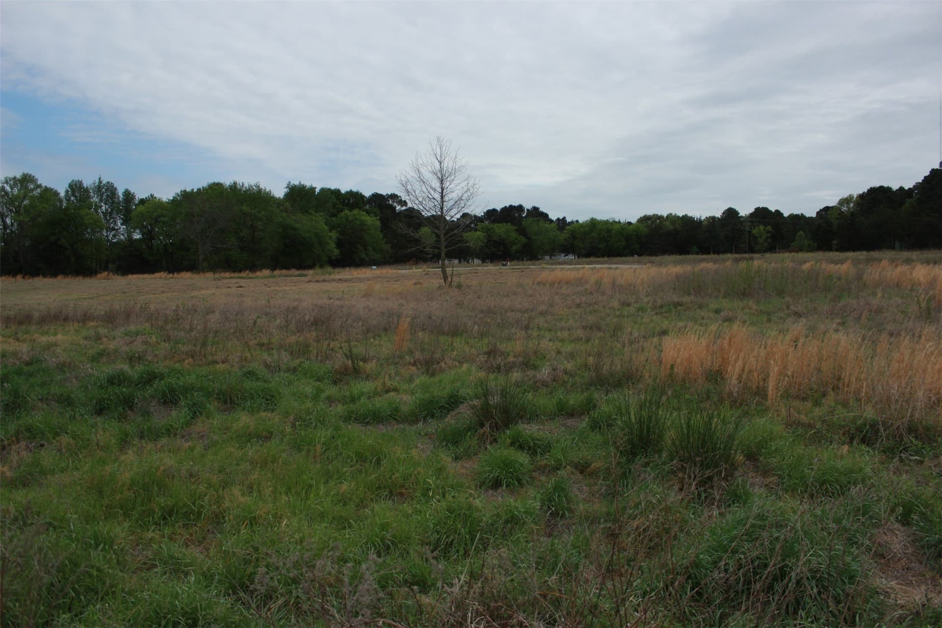 1.18 acres in Camp County - photo 7