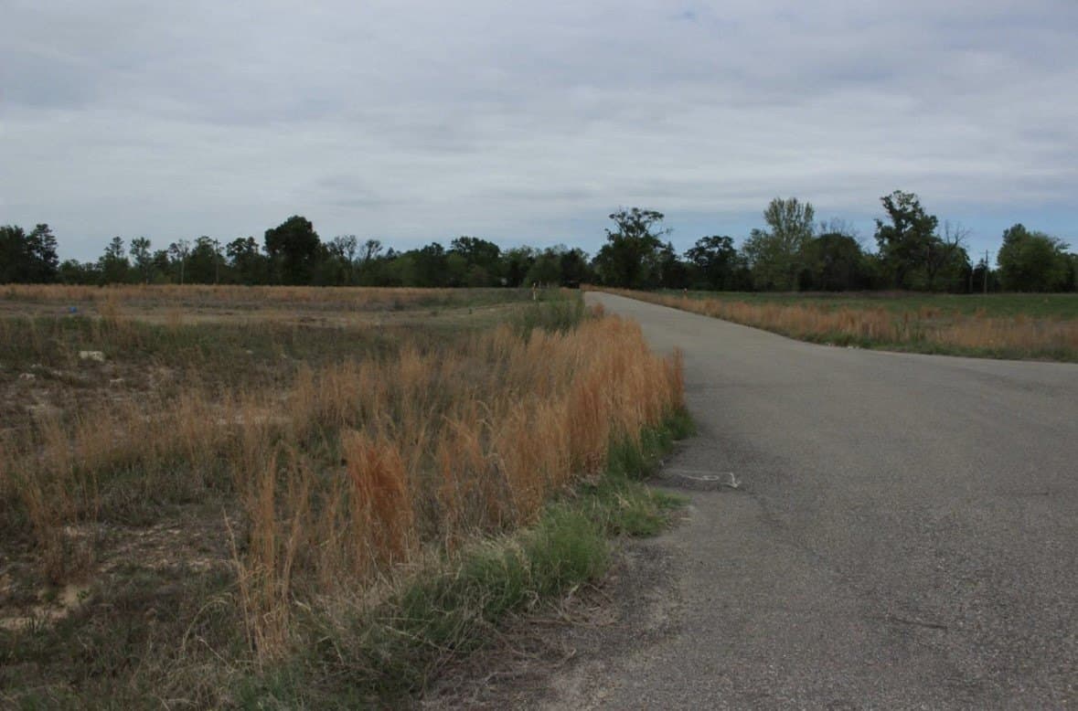 1.18 acres in Camp County gallery image 4