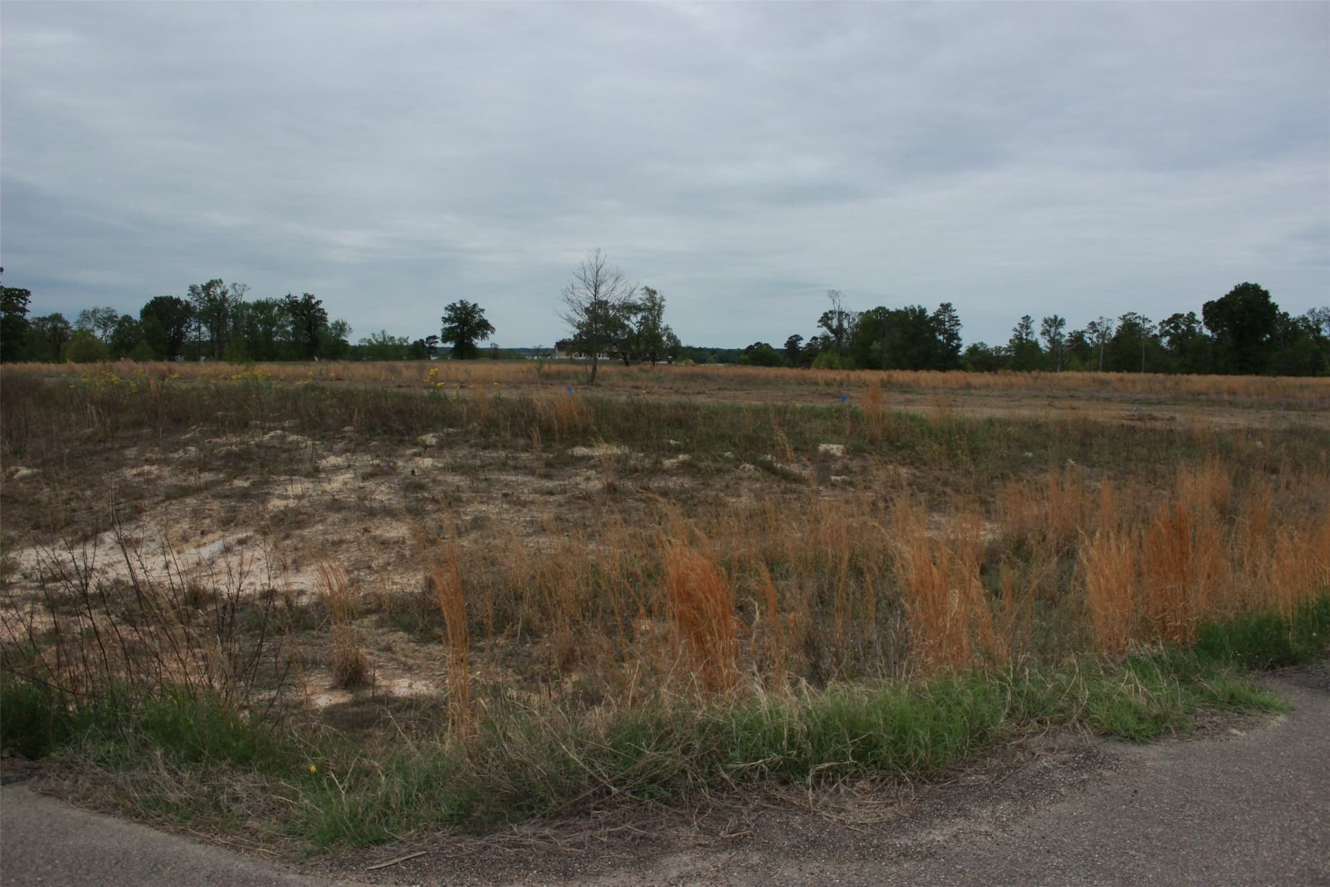 1.18 acres in Camp County - photo 8