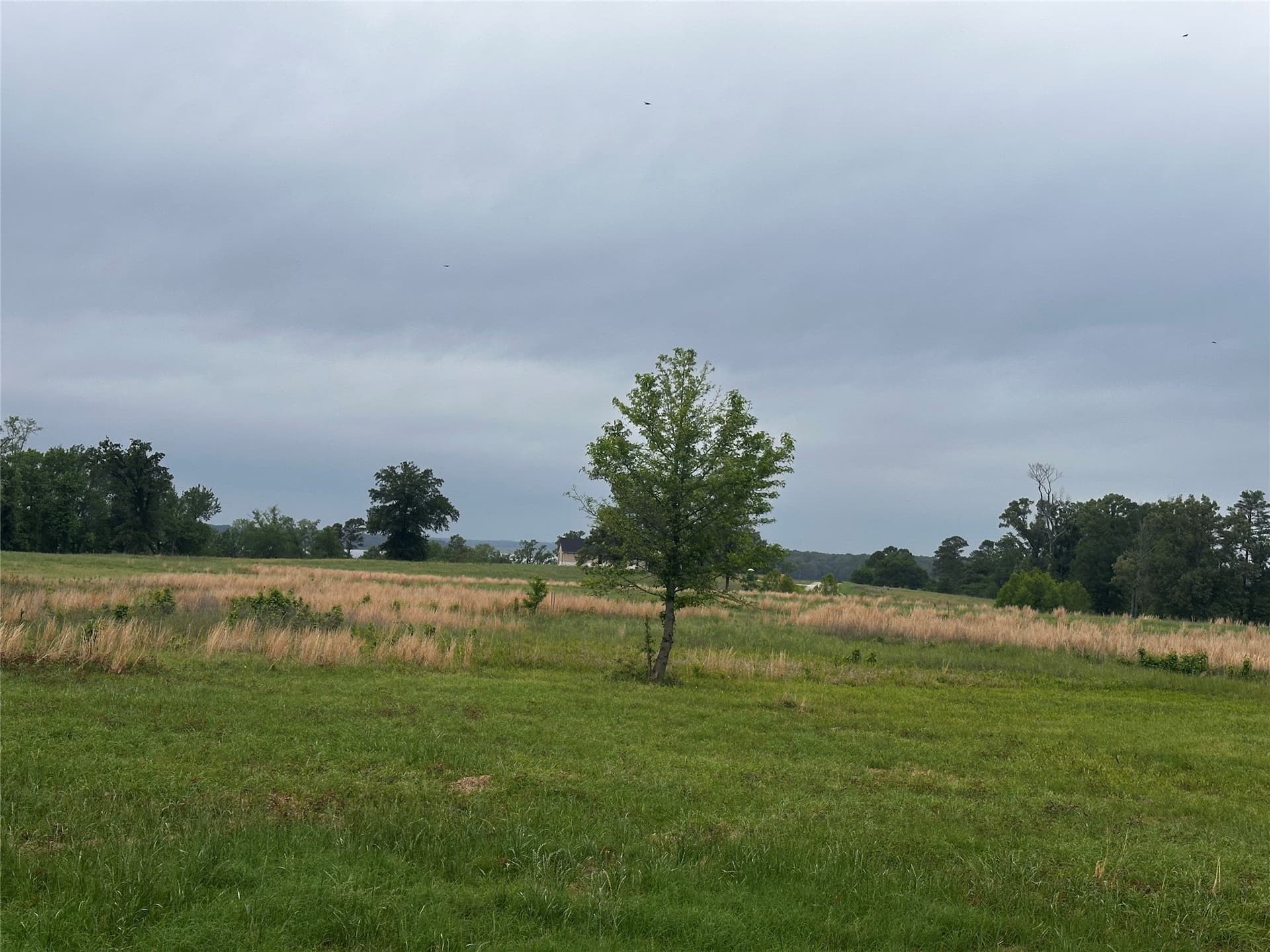 1.18 acres in Camp County gallery image 3