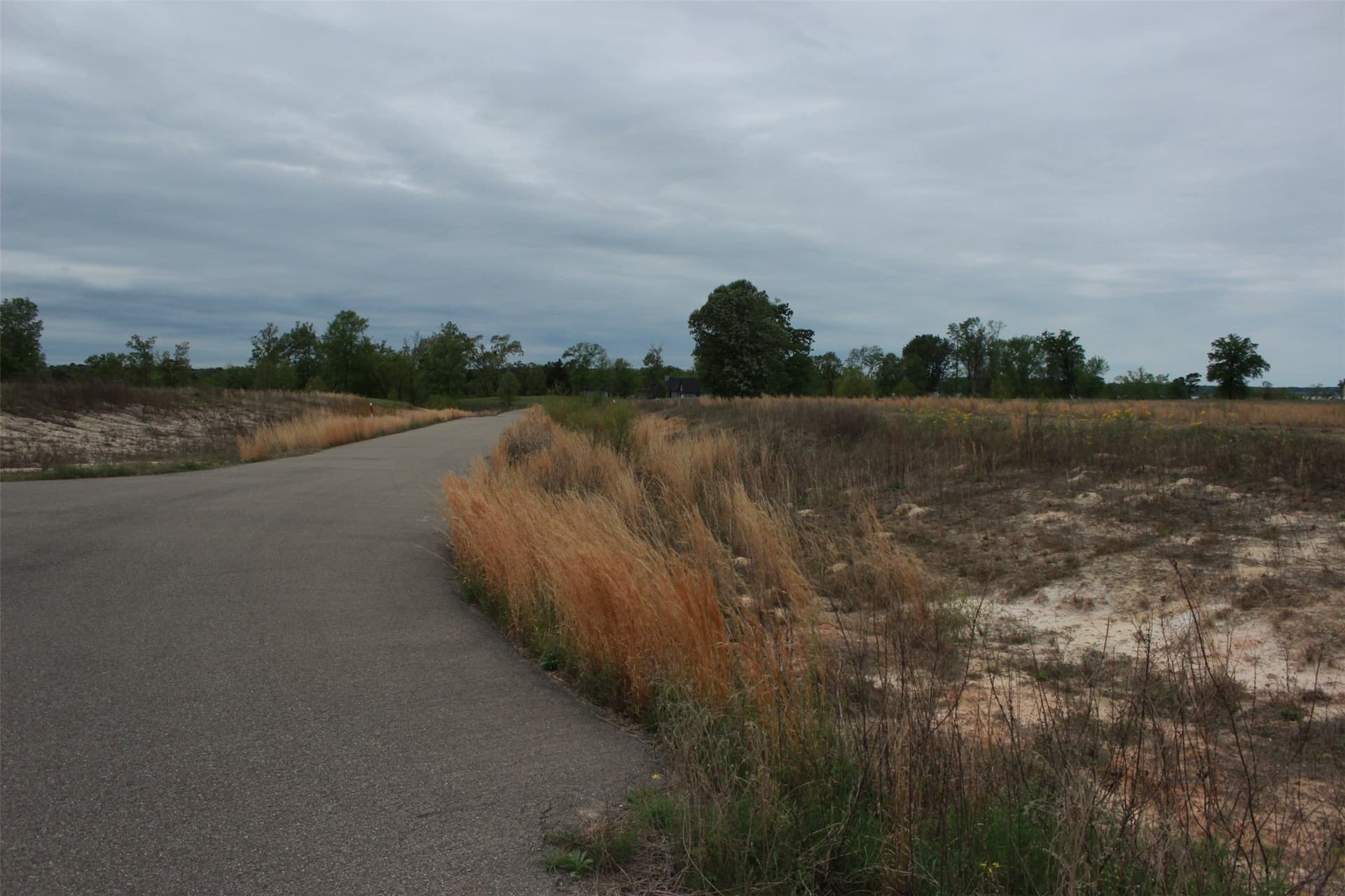 1.18 acres in Camp County featured view