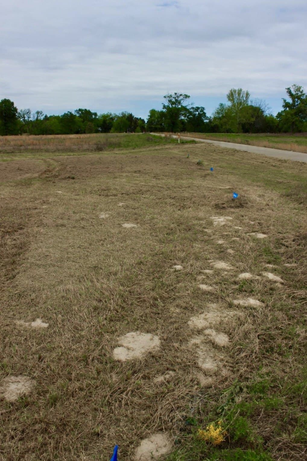 1.18 acres in Camp County - photo 9